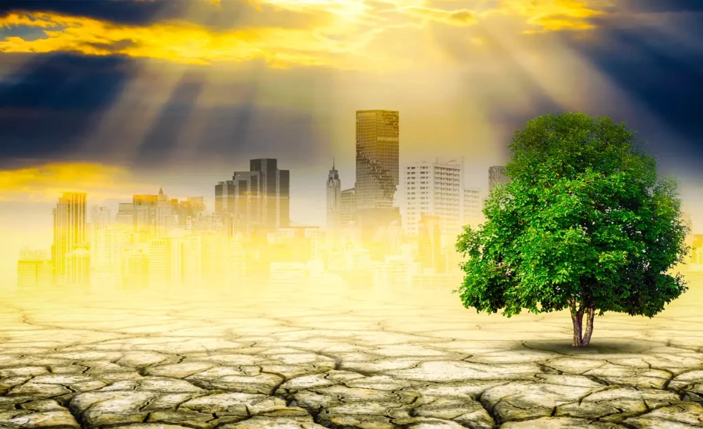 Building with Resilience